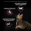Visuel 6 sur 7