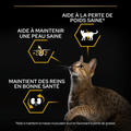 Visuel 5 sur 7