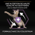 Visuel 5 sur 7