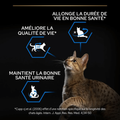 Visuel 6 sur 7