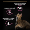Visuel 5 sur 7