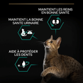 Visuel 6 sur 7