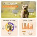 Visuel 4 sur 9