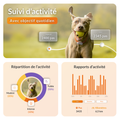 Visuel 4 sur 9