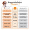 Visuel 9 sur 9