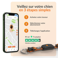 Visuel 7 sur 10