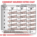 Visuel 5 sur 5