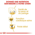 Visuel 4 sur 6