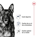 Visuel 3 sur 4