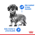 Visuel 4 sur 7