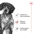 Visuel 3 sur 5