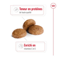 Visuel 4 sur 5