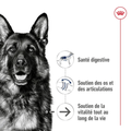 Visuel 3 sur 5