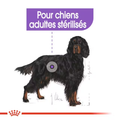 Visuel 3 sur 4