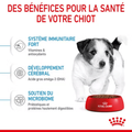 Visuel 3 sur 5