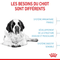 Visuel 3 sur 5