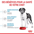 Visuel 4 sur 5