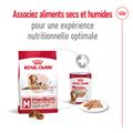 Visuel 6 sur 11