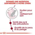Visuel 4 sur 7