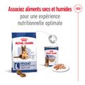 Visuel 8 sur 13