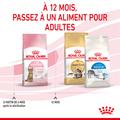 Visuel 7 sur 9