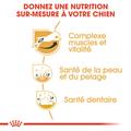 Visuel 5 sur 7