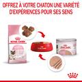 Visuel 5 sur 8
