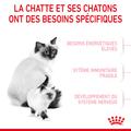 Visuel 3 sur 10