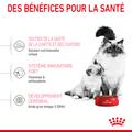Visuel 4 sur 10