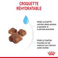 Visuel 5 sur 10