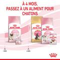 Visuel 6 sur 10