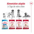 Visuel 6 sur 12