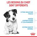 Visuel 5 sur 11
