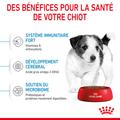 Visuel 6 sur 11