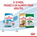 Visuel 7 sur 11