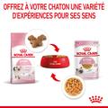 Visuel 7 sur 11