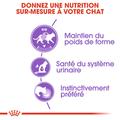 Visuel 4 sur 7