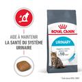 Visuel 3 sur 12
