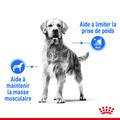 Visuel 3 sur 8