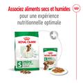 Visuel 6 sur 11