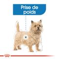 Visuel 3 sur 8