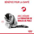 Visuel 3 sur 11