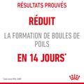 Visuel 4 sur 11