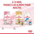 Visuel 6 sur 11