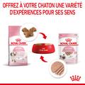 Visuel 7 sur 11