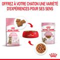 Visuel 7 sur 10