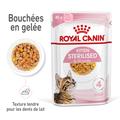 Visuel 3 sur 10
