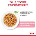Visuel 4 sur 10
