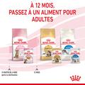Visuel 6 sur 10