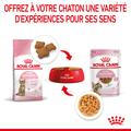 Visuel 7 sur 10
